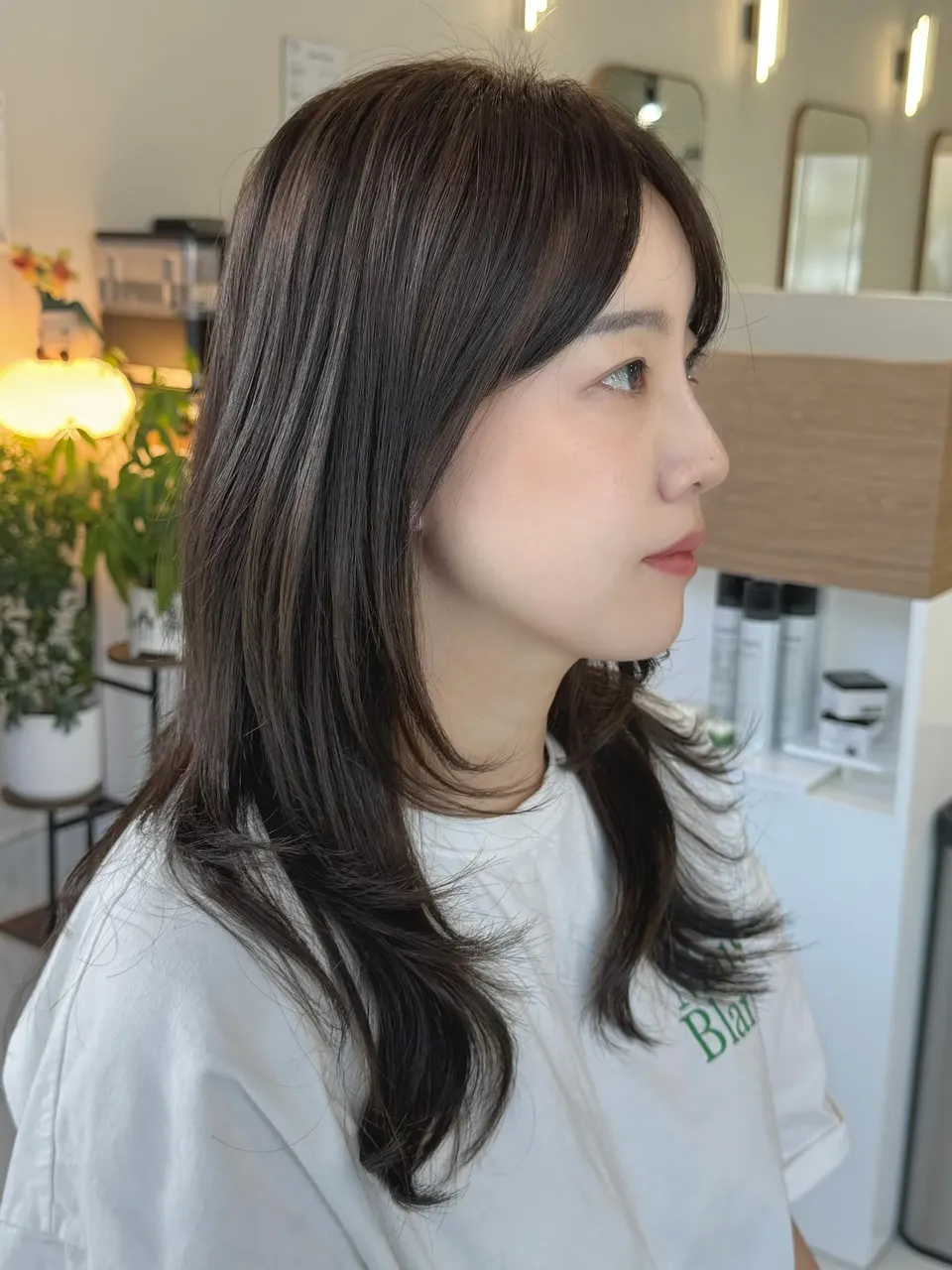 Medium brown layered cut with face-framing pieces
