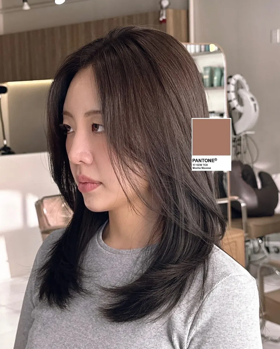 Mocha mousse layered hair colour