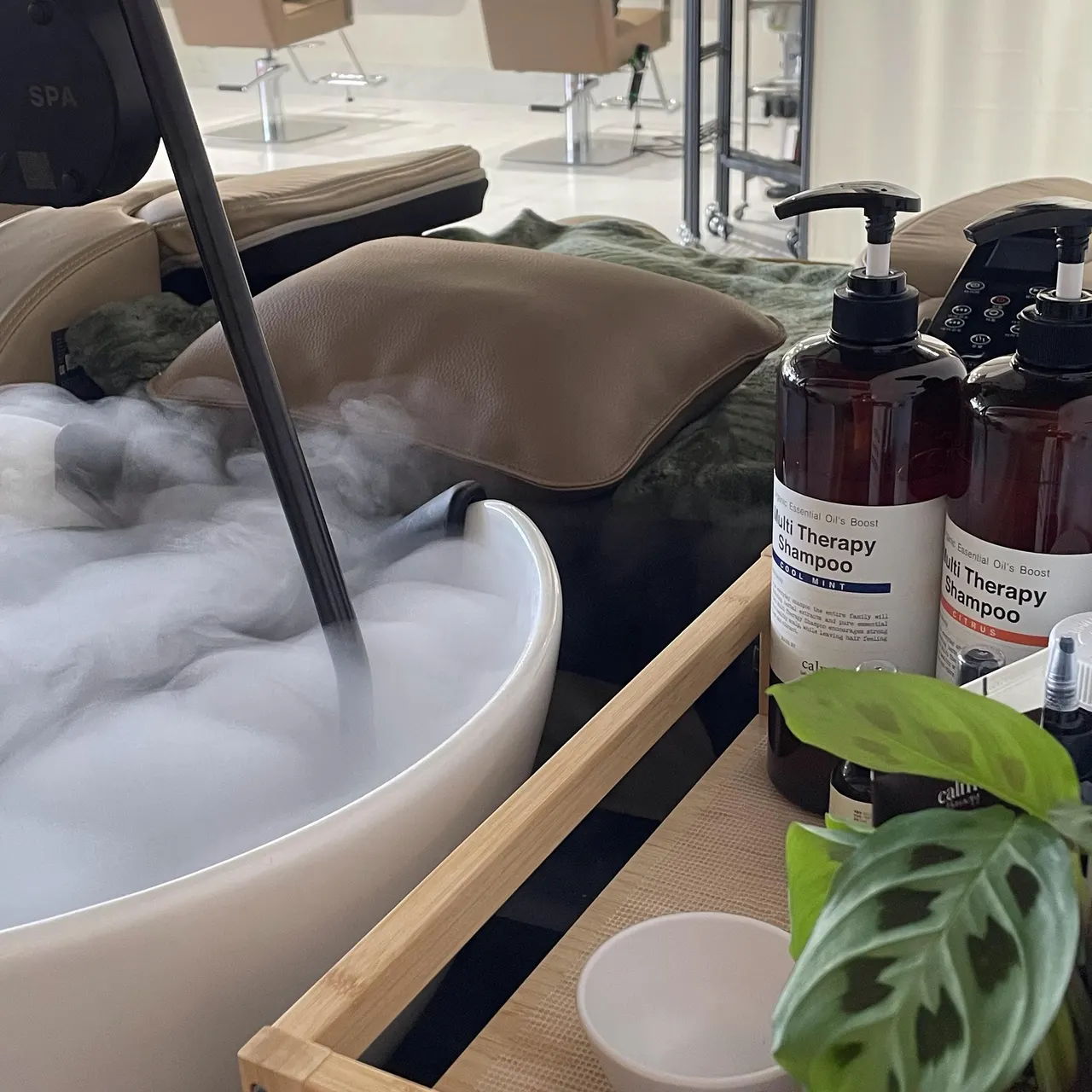 Carbonated head spa basin with mist and shampoo